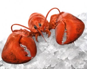 lobster_2