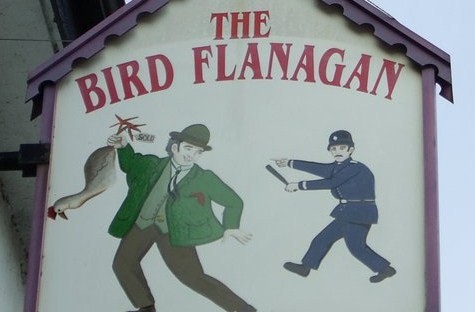 bird-flanagan