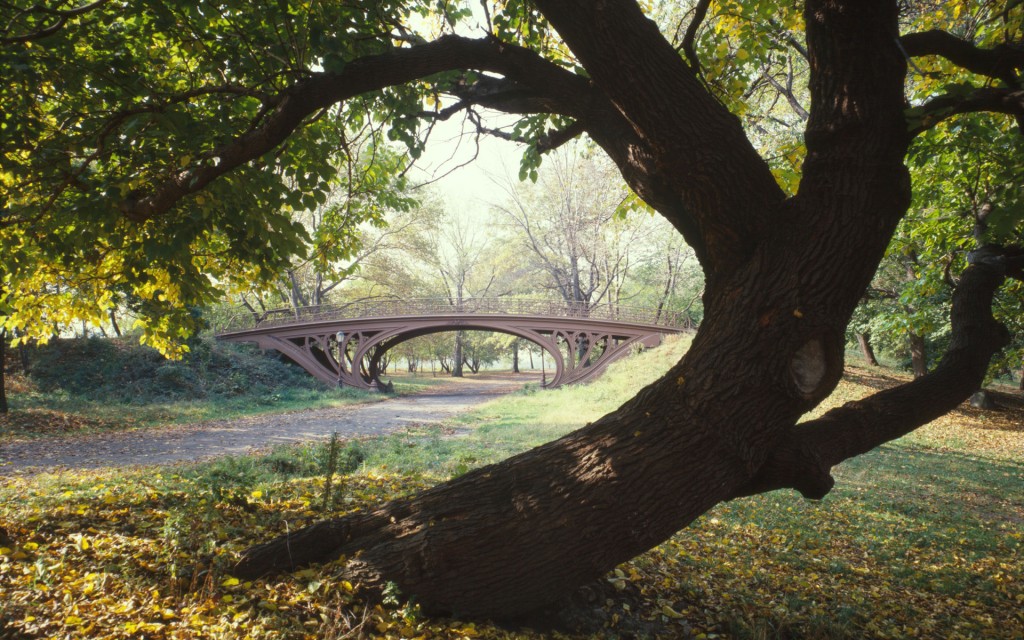 central-park-new-york-city