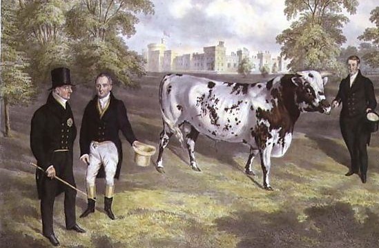 Sir-Charles-Morgan-Presenting-King-William-IV-With-A-Shorthorn-Bull-At-Tredegar-Castle,-Monmouth,-1836